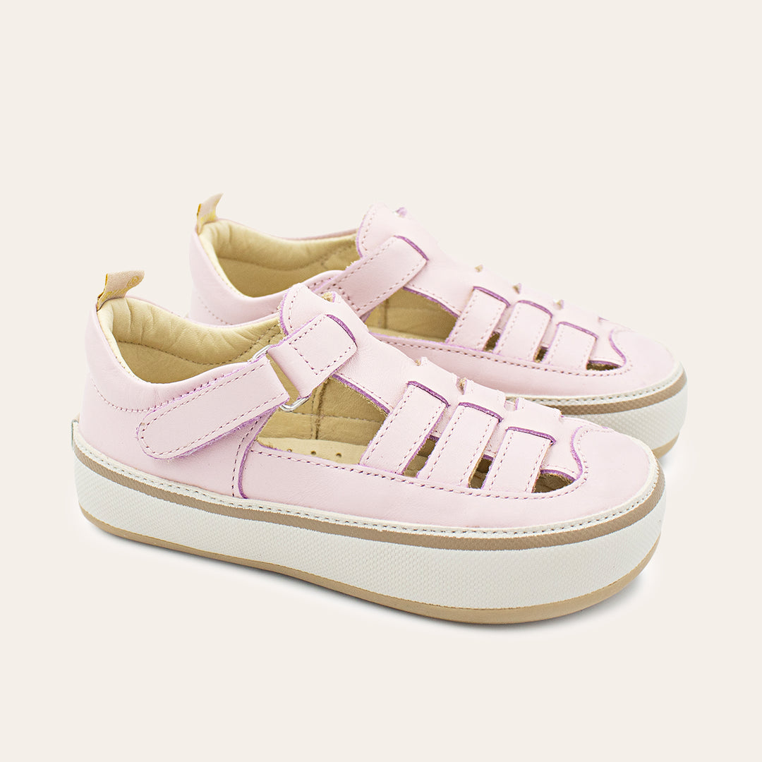 Catarina - Rosa
