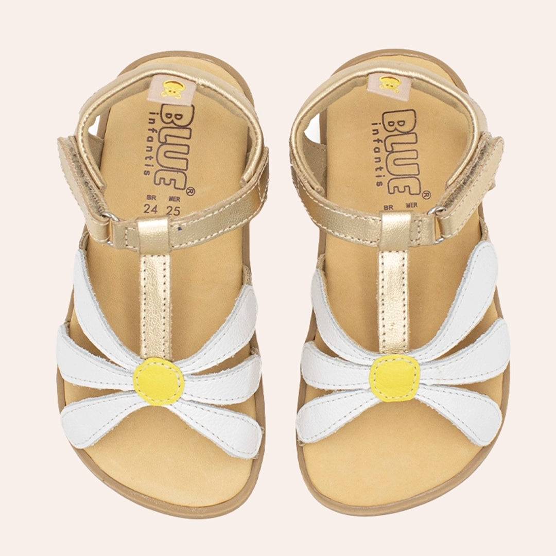 Maya Baby - Ouro Velho