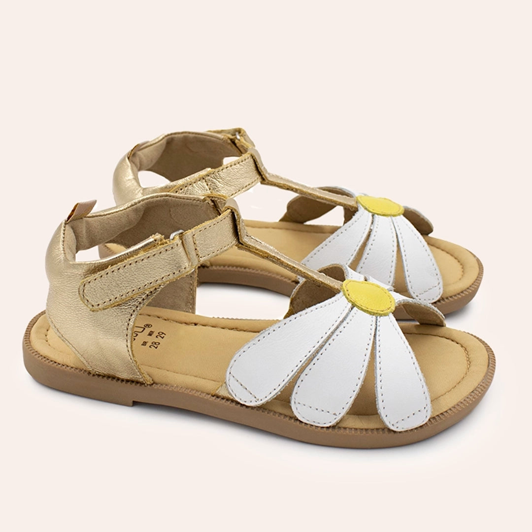 Margarida Infantil - Ouro Velho