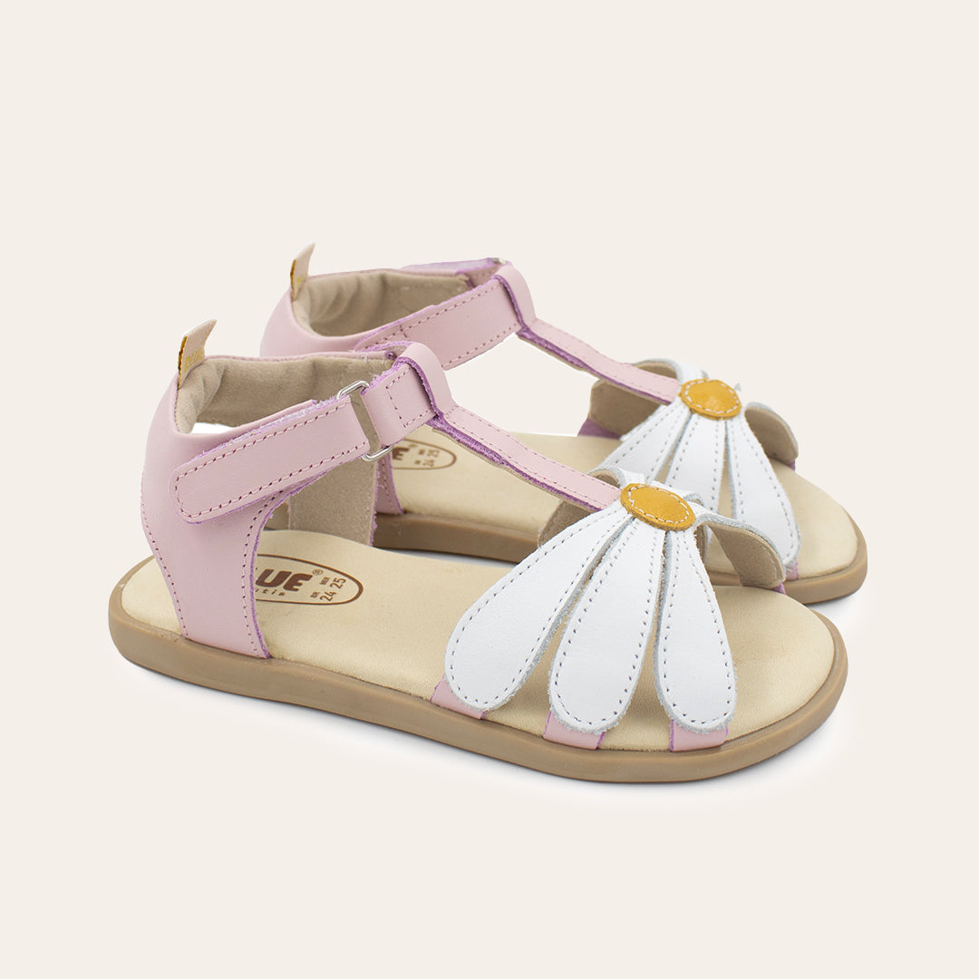 Maya - Rosa
